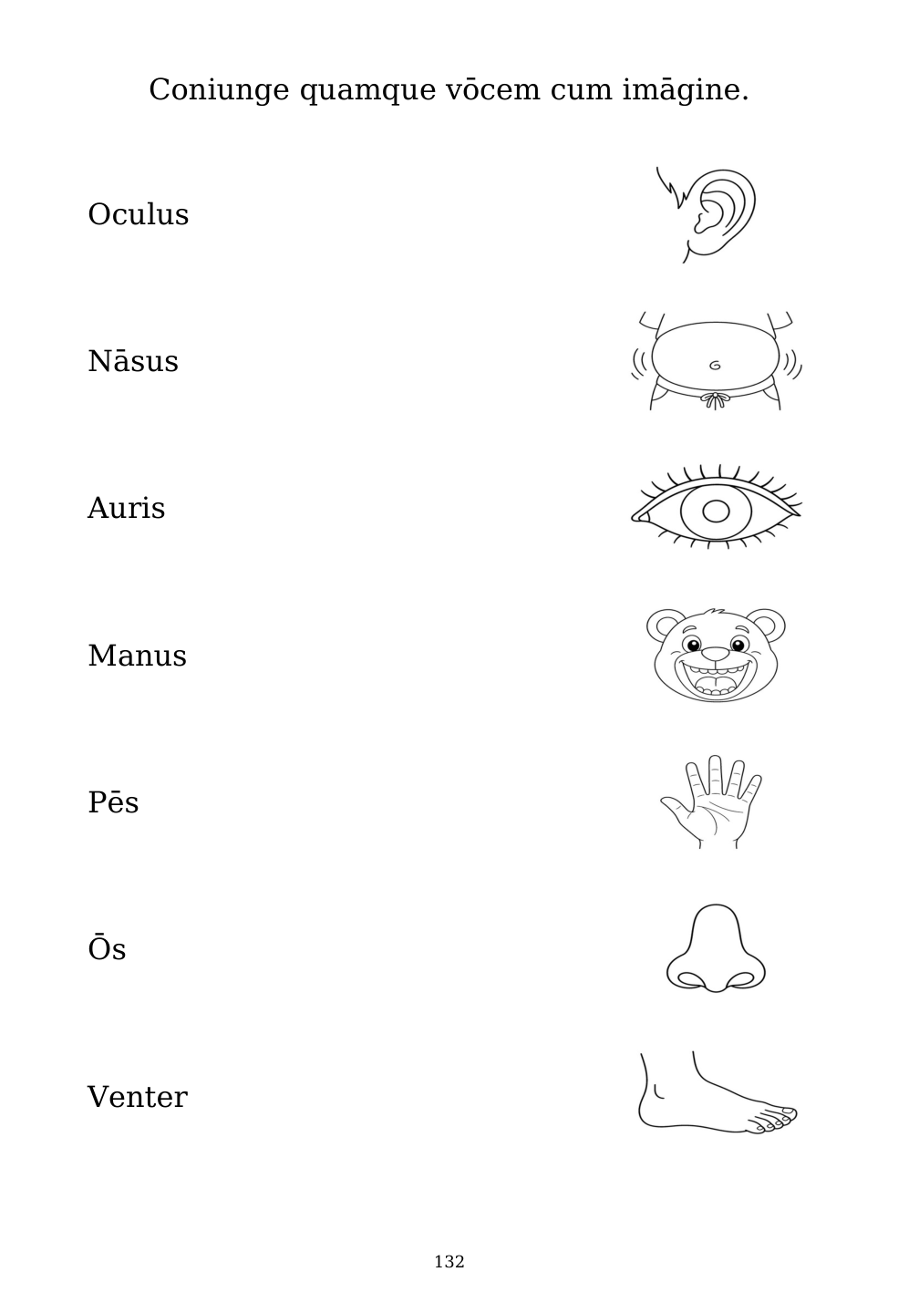 Picture matching exercise with answer lines drawn from each word to its picture